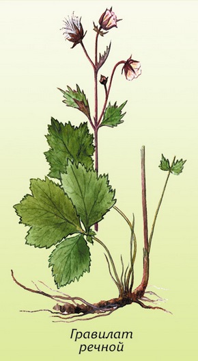 �������� ��������: �������� ������.