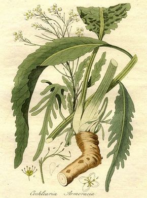 ���� ������������.