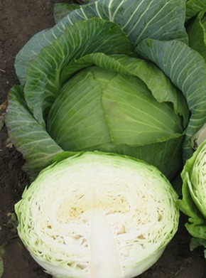 �������� ��������: ������� ������������.