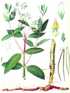 ������� ����������