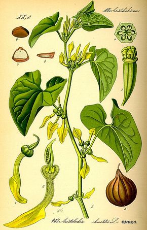 �������� ��������: �������� ������������, �������� ������������.