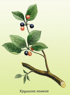 �������� ��������: ������� ������, �����������, ������� �����, ������ �����, ��������, ���������.