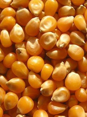 �������� ��������: ��������, ����.