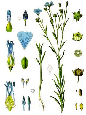 �������� ��������: ��� ��������.