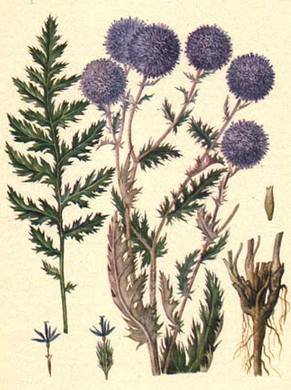 �������� ��������: ��������� ������������, ��������� �����������, ���� ������, ����� ������.