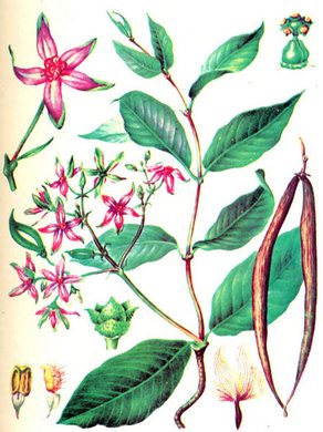 �������� ��������: �������� ���������.