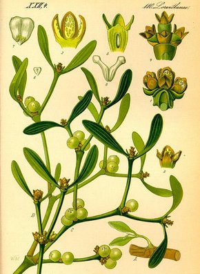 �������� ��������: ����� �����, �������� �����.