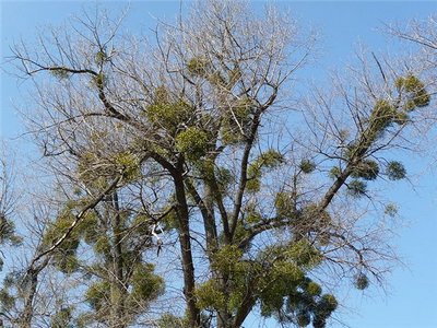 �������� ��������: ����� �����, �������� �����.