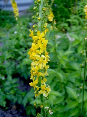 �������� ��������: ���������� ��������, ������� ������������, ��������.