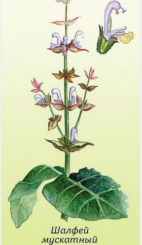 �������� ��������: ������ ���������.