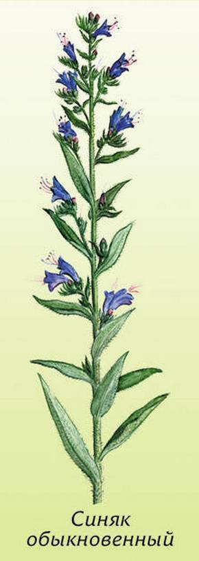 �������� ��������: ����� ������������, ������� �������.