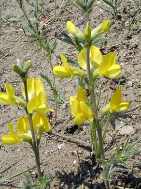 �������� ��������: ��������� ���������, ��������, ������ �����.