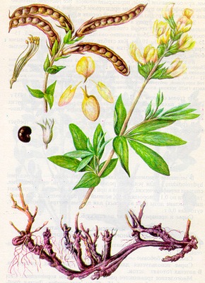 �������� ��������: ��������� ���������, ��������, ������ �����.