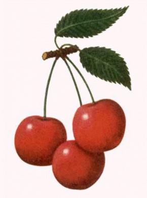 ������ ��������: ����� ������, ����� �������.