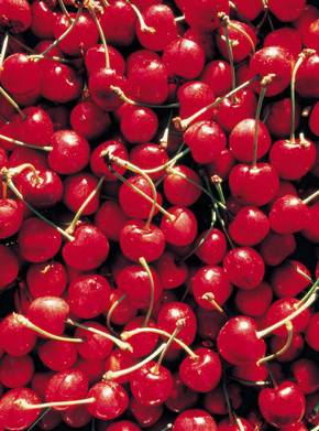 ������ ��������: ����� ������, ����� �������.