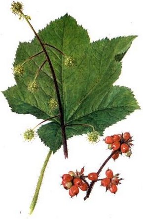 �������� �������.