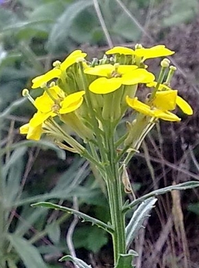 �������� ��������: ��������� �����.