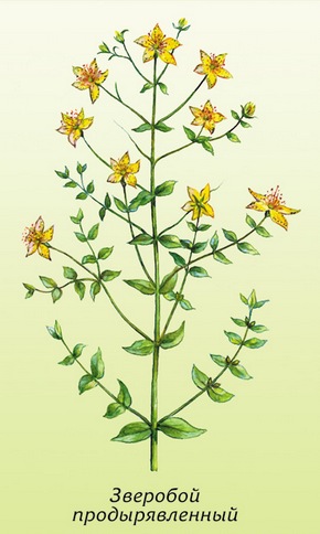 �������� ��������: �������� ��������������, ������������, ���������� �����, ���������, ���������� �����, ������� �������.