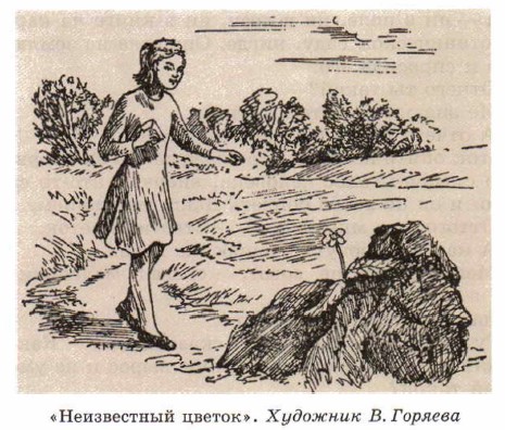 ������������ ������. �������� �. �������