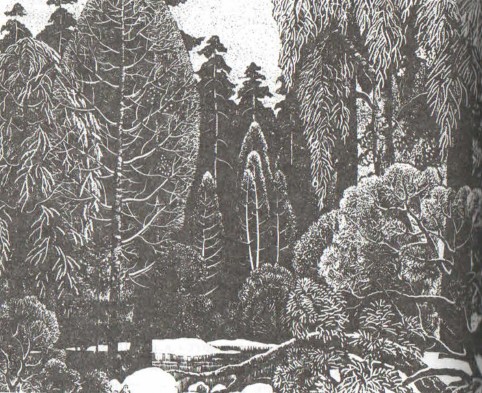 ����� ��� ������