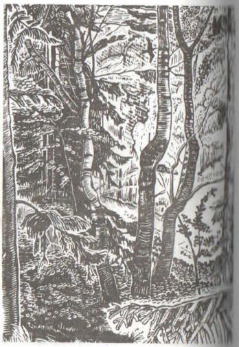 ���� �� ������