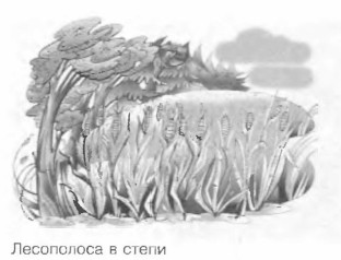 ���������� � �����