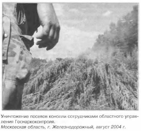 ����������� ������� ������� ������������ ���������� ���������� ����������������