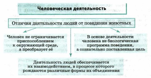 ������������ ������������