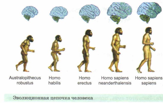 ������������ ������� ��������