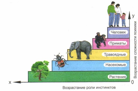 ����������� ���� ����������