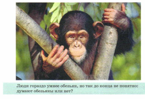 ���� ������� ����� �������