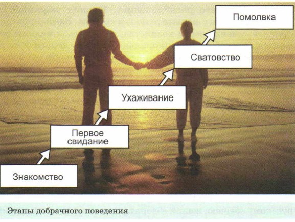 ����� ���������� ���������