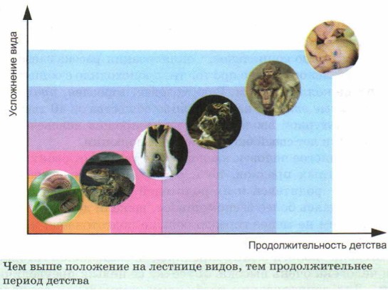 ��� ���� ��������� �� �������� �����, ��� ��������������� ������ �������