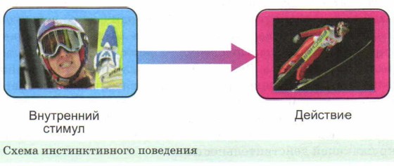 ����� �������������� ���������