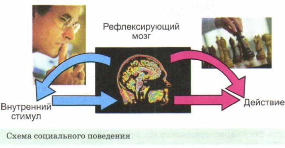 ����� ����������� ���������