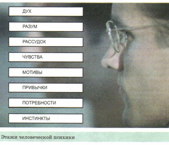 ����� ������������ �������