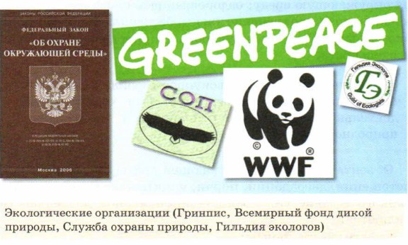 ������������� �����������