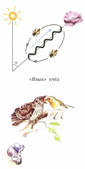 ����� � ������� �������� �������� ���� ����� ��������� �������