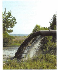 ������� ������