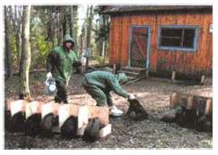 ������-������� ���������