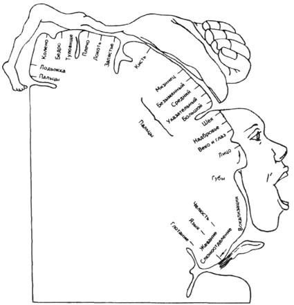 ������������ ������� ���� ��������� ����� ��������