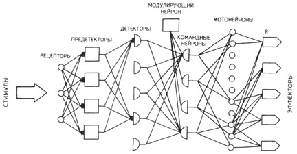 ����-����� �������������� ������������ ����