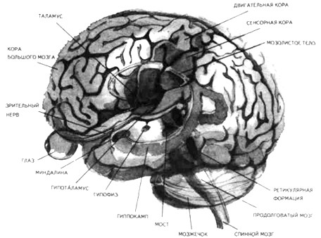 �������������� ����