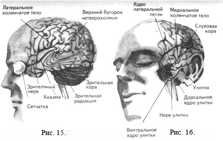 ���������� � �������� �������