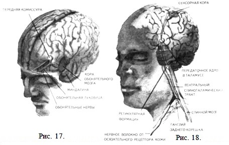 ������������ �������. �������� � ����������� ����