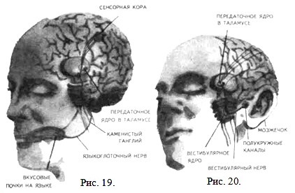 �������� �������. ������� ����������