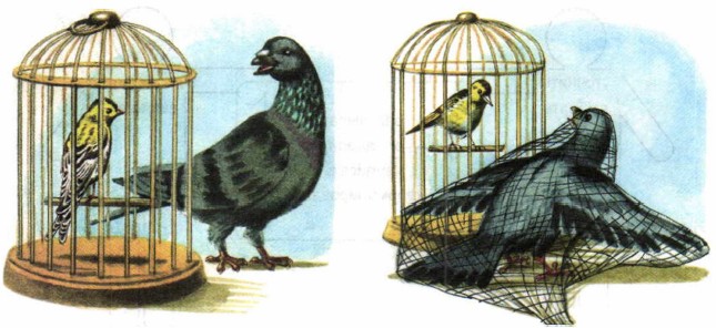 ��� � ������