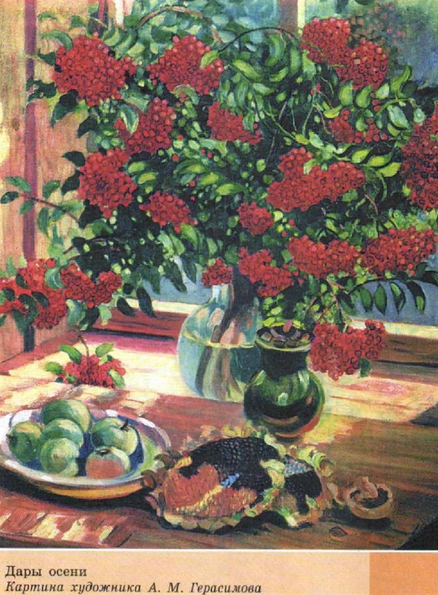 ���� �����. ������� ��������� �. �. ����������