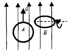 ����� ���������� ����