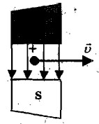 ���� ���������� �����������